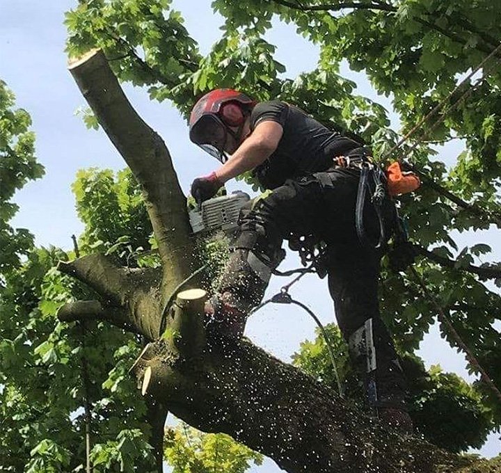 These qualifications not only reflect our team's proficiency and dedication to safety but also assure our clients of our expertise and commitment to delivering exceptional service.